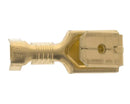 Female/male terminal with 6.3 mm hook