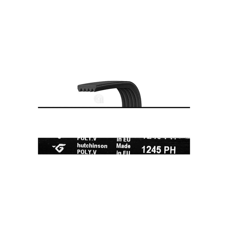 UNIVERSAL - Poly-V Transmission Belt H5 1245 for Washing Machine - 1245H5