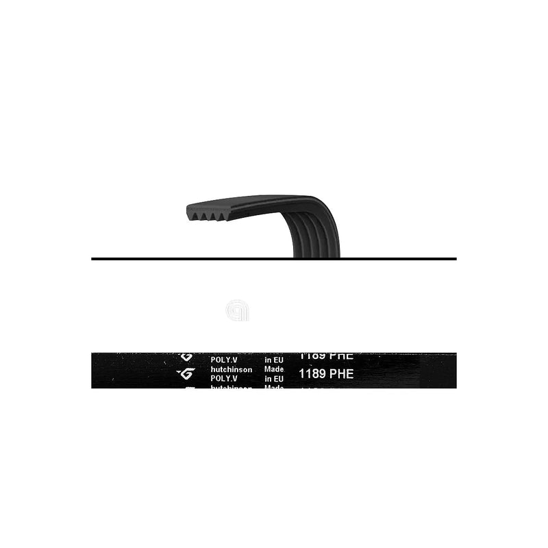 ELECTROLUX UNIVERSAL - Washing Machine Transmission Belt - AST-00126648