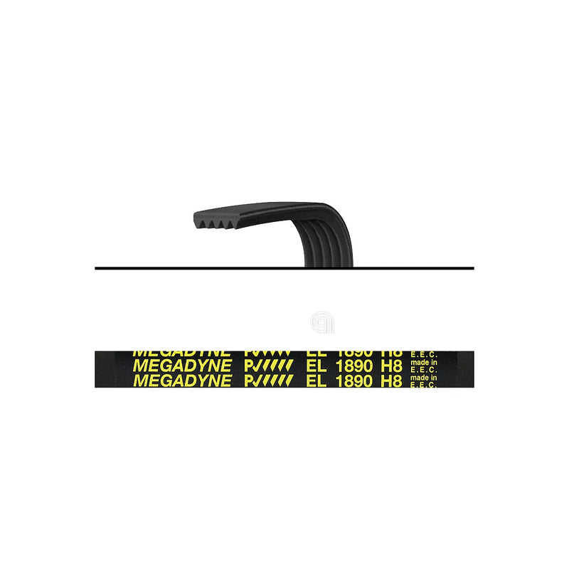 CANDY HOOVER ZEROWATT - Elastic Poly-V 1890 H8 Belt for Washing Machine - 06012725