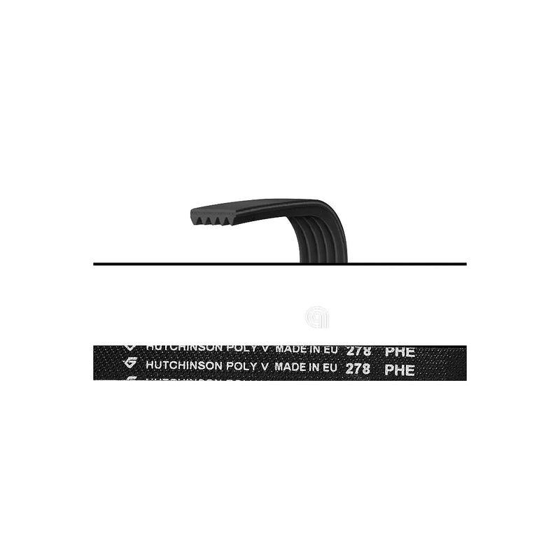 FAGOR, SANGIORGIO, BLOMBERG, BRANDT, THOMSON - Dryer Belt - 278H4EL
