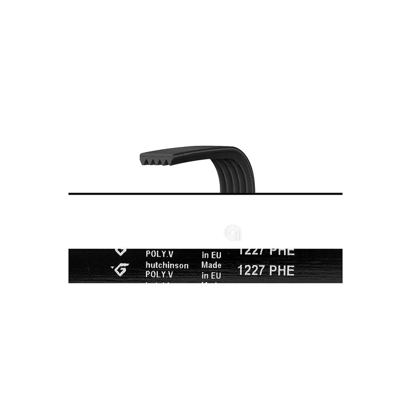 VESTEL, UNIVERSAL - Washing Machine Belt 1227 H7 - 42210832