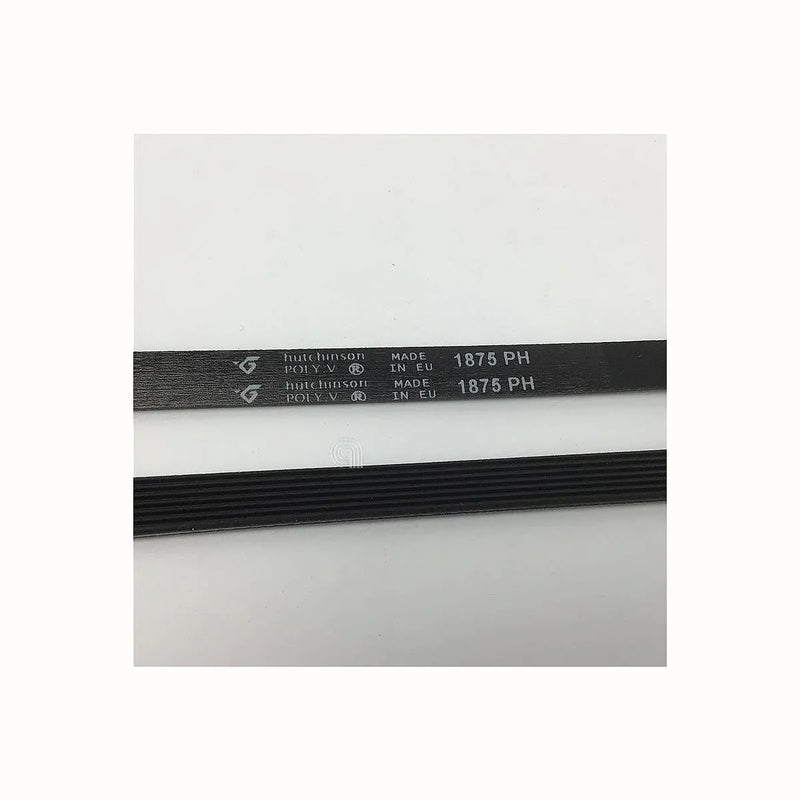 UNIVERSAL - Poly-V Belt for Washing Machine - 1875 H7