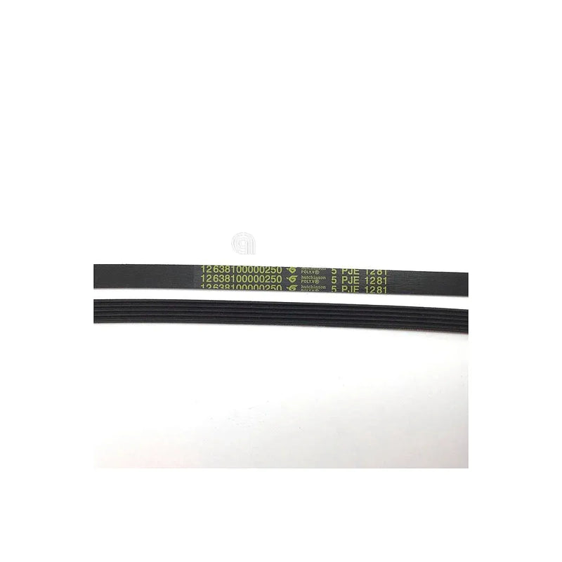 Original J5 1281 belt for Electrolux and Zanussi washing machines