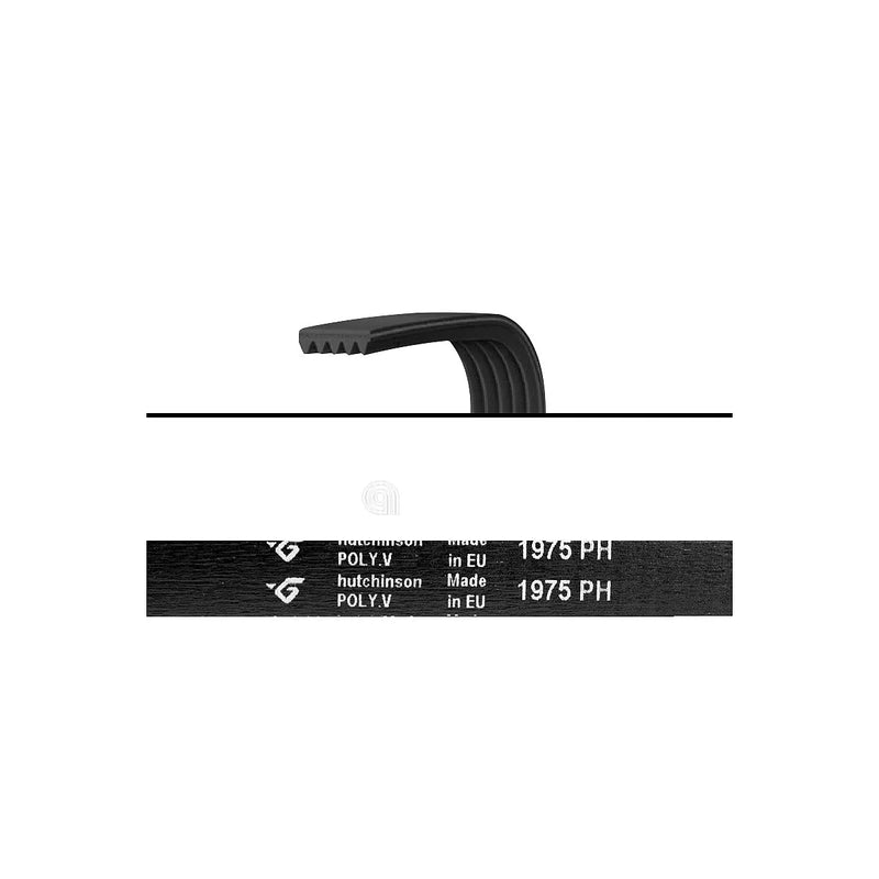 UNIVERSAL - 1975 H7 Drive Belt for Washer Dryer - 1258288222
