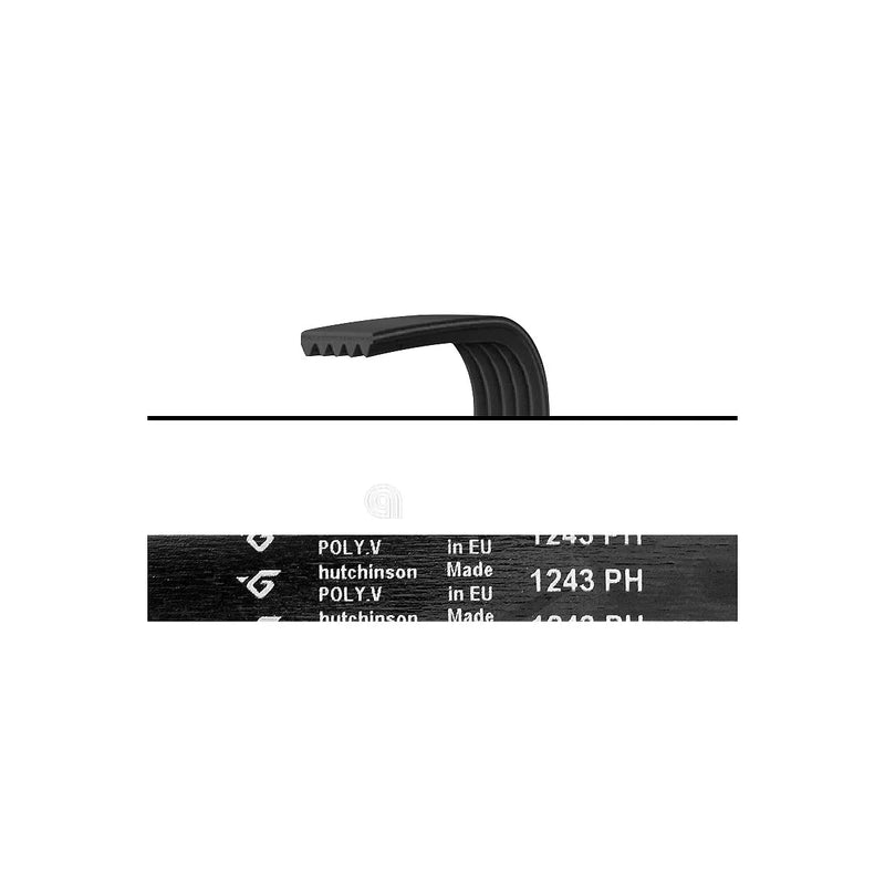 WHIRLPOOL, IGNIS, PHILIPS - Poly-V Washer Belt - AST-00126471