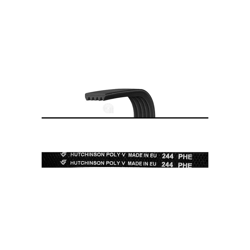 WHIRLPOOL, INDESIT - Poly-V Dryer Belt H4 244 - 480112101253