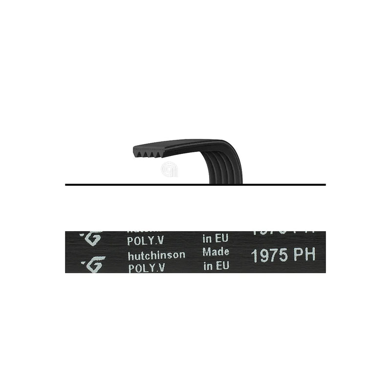 ELECTROLUX ZANUSSI - 1975 H6 Transmission Belt for Dryer and Washing Machine - AST-00126608