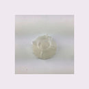 Original spray arm fixing arm dishwasher Whirlpool C00503917