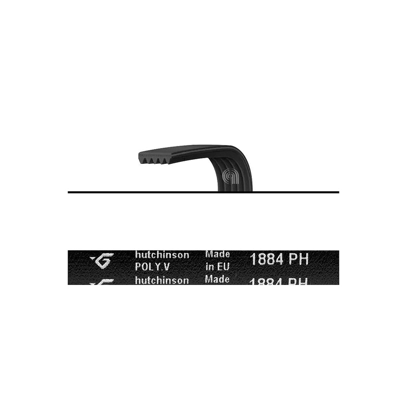 ELECTROLUX, AEG, ZANUSSI - 1884 H5 Poly-V Dryer Belt - 1255028100