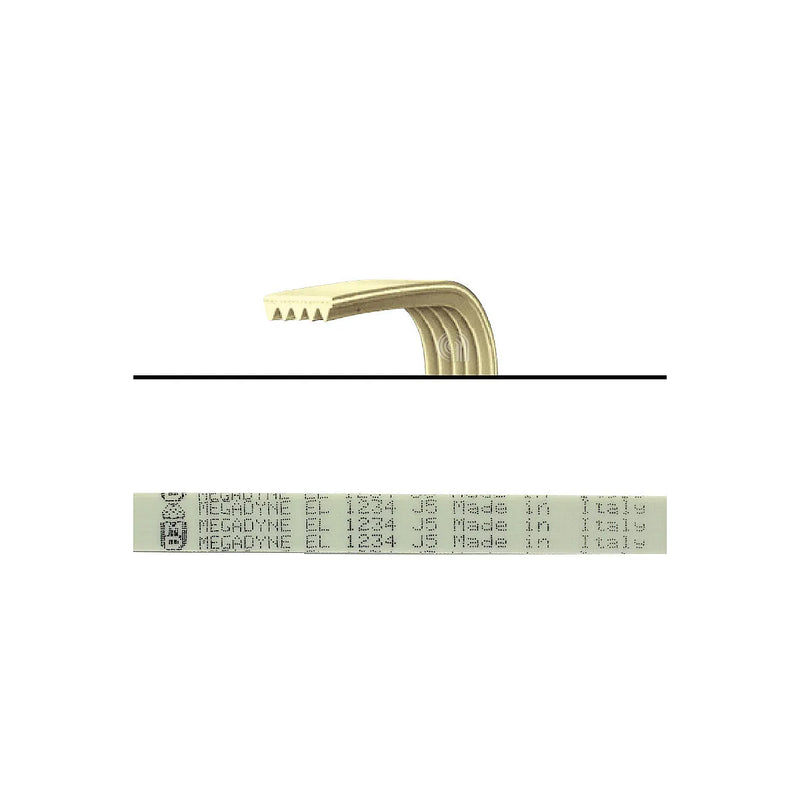 CANDY - Elastic Belt J5 1234 for Washing Machine - AST-00126440