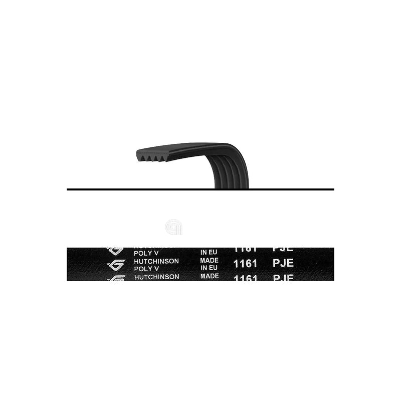 BRANDT, FAGOR, THOMSON - Washing Machine Elastic Belt - 1161J5EL
