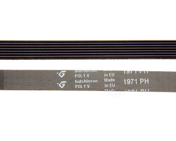 AEG dryer belt | 1366033007