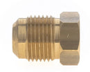 SAE plug 1/2'' male
