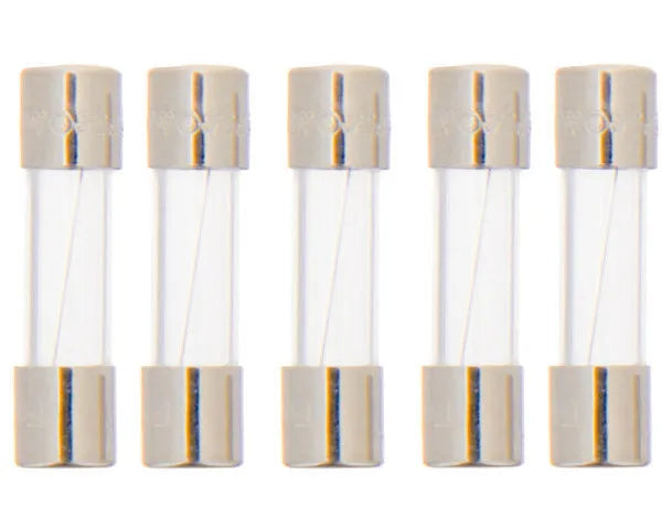CHAFFOTEAUX fuse | 61003635
