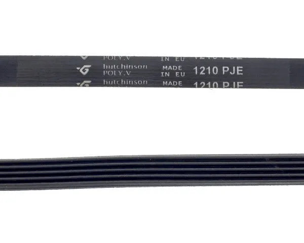 CANDY 1210 J-5 Grooved Washer Belt | 80001704