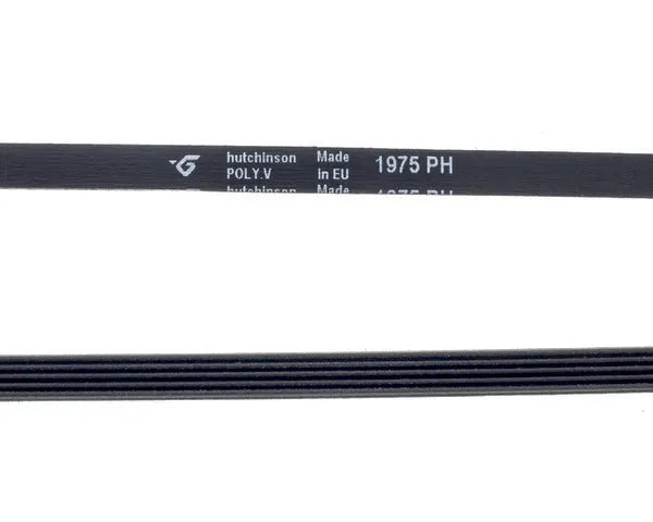 Grooved washing machine belt 1975 h-5