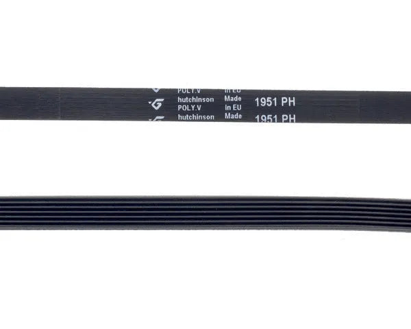 Grooved dryer belt type 7ph1951