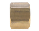 SAE plug 3/4'' female