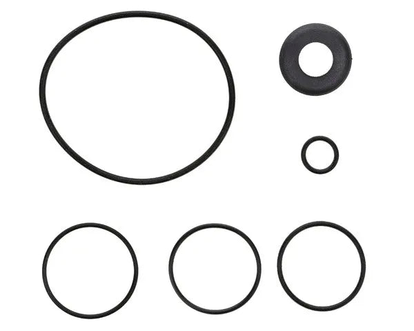 Gas recovery O-ring | OXYRECAMBIOS49