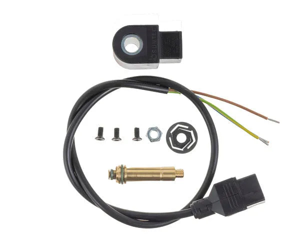 SUNTEC diesel burner solenoid valve at 220v